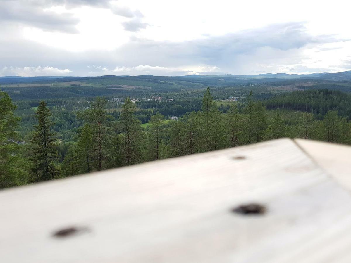 Bjoernforsens Turist & Konferenshotell, Naera Husum, Oernskoeldsvik Bjorna Екстер'єр фото